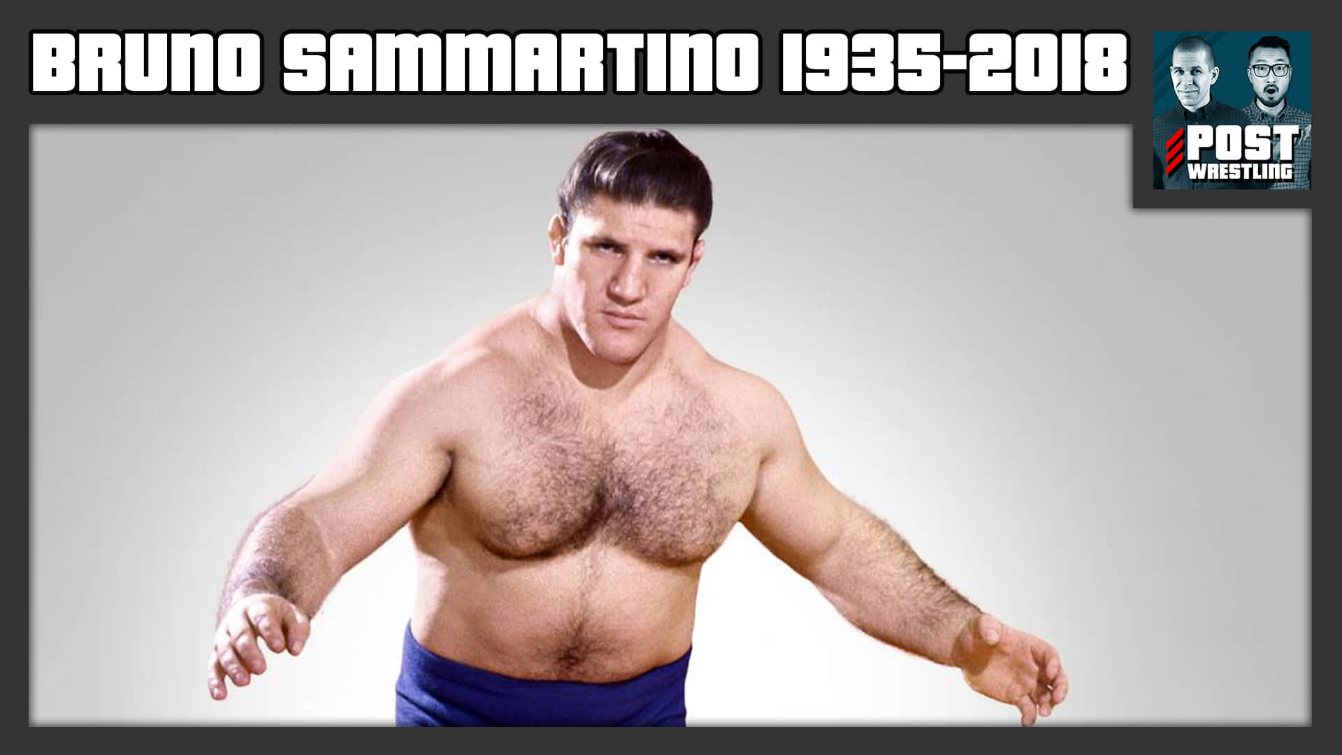 Bruno Sammartino Tribute Poster Wallpaper
