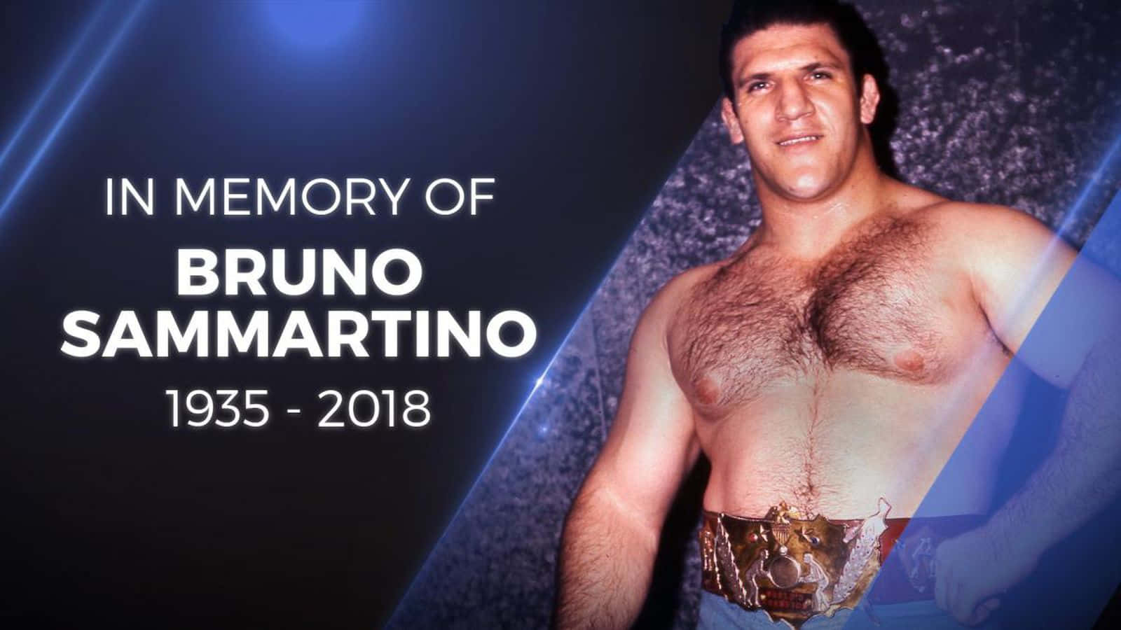 "A Tribute to Bruno Sammartino, a Pro Wrestling Legend" Wallpaper