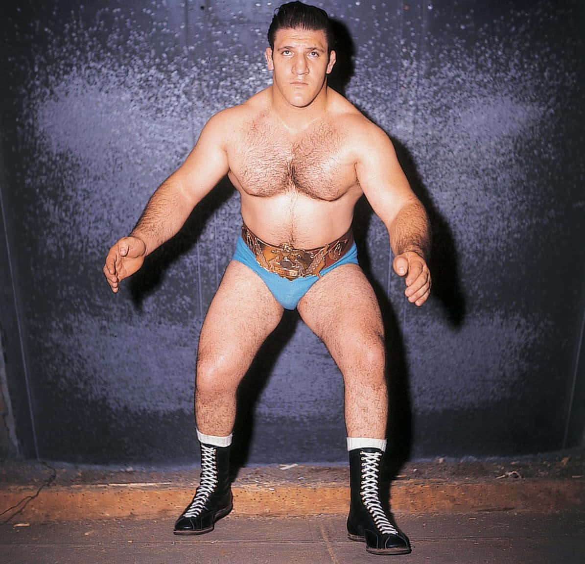 Bruno Sammartino World Heavyweight Champion Wallpaper