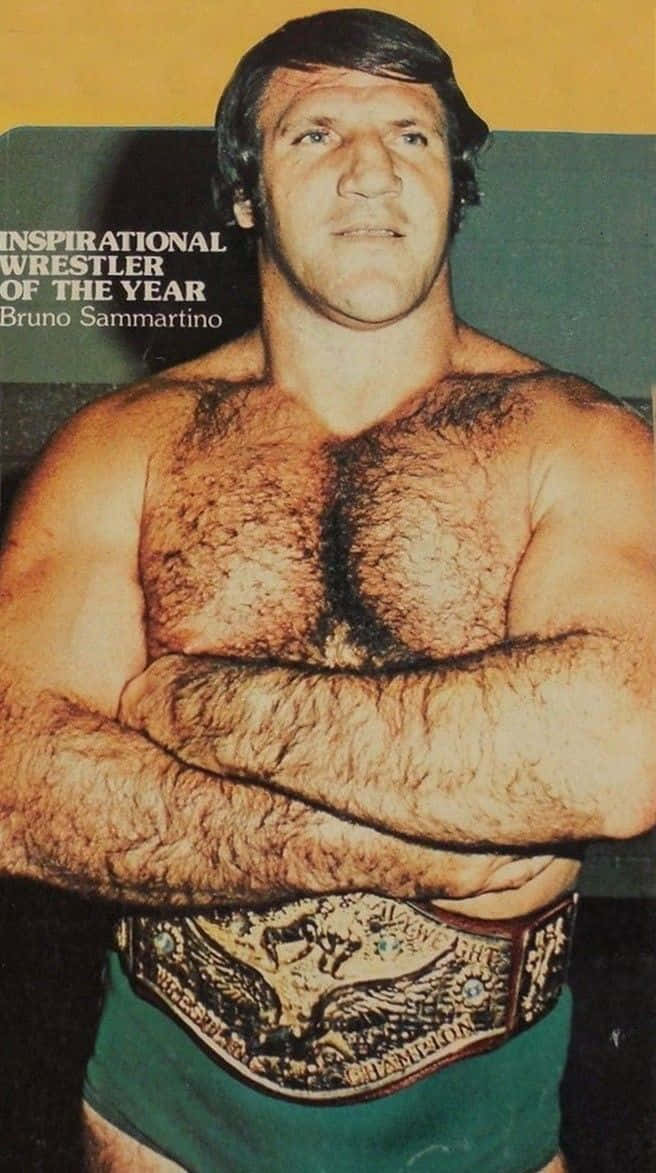 Bruno Sammartino Wrestling Ikon Tapet Wallpaper