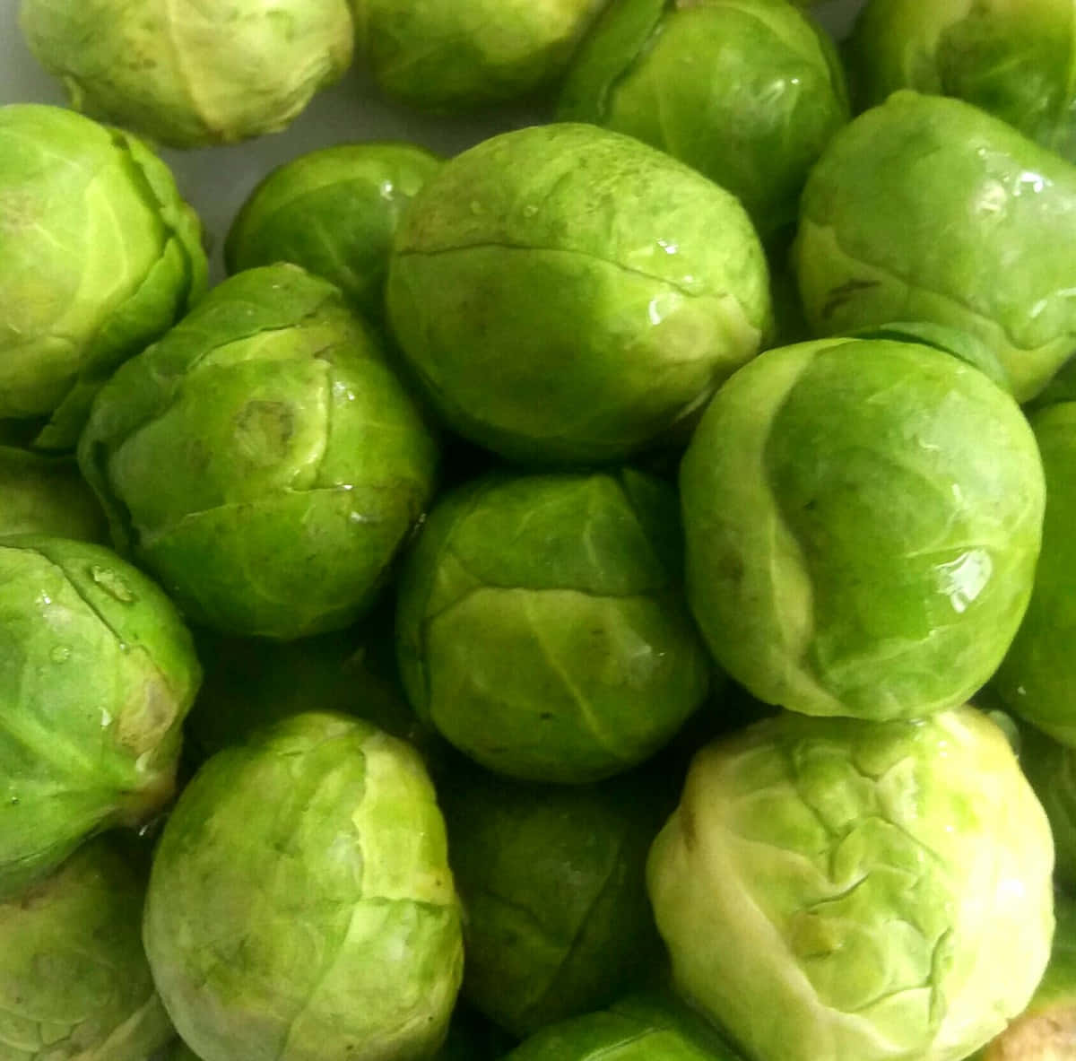 Plump and Fresh Brussles Sprouts