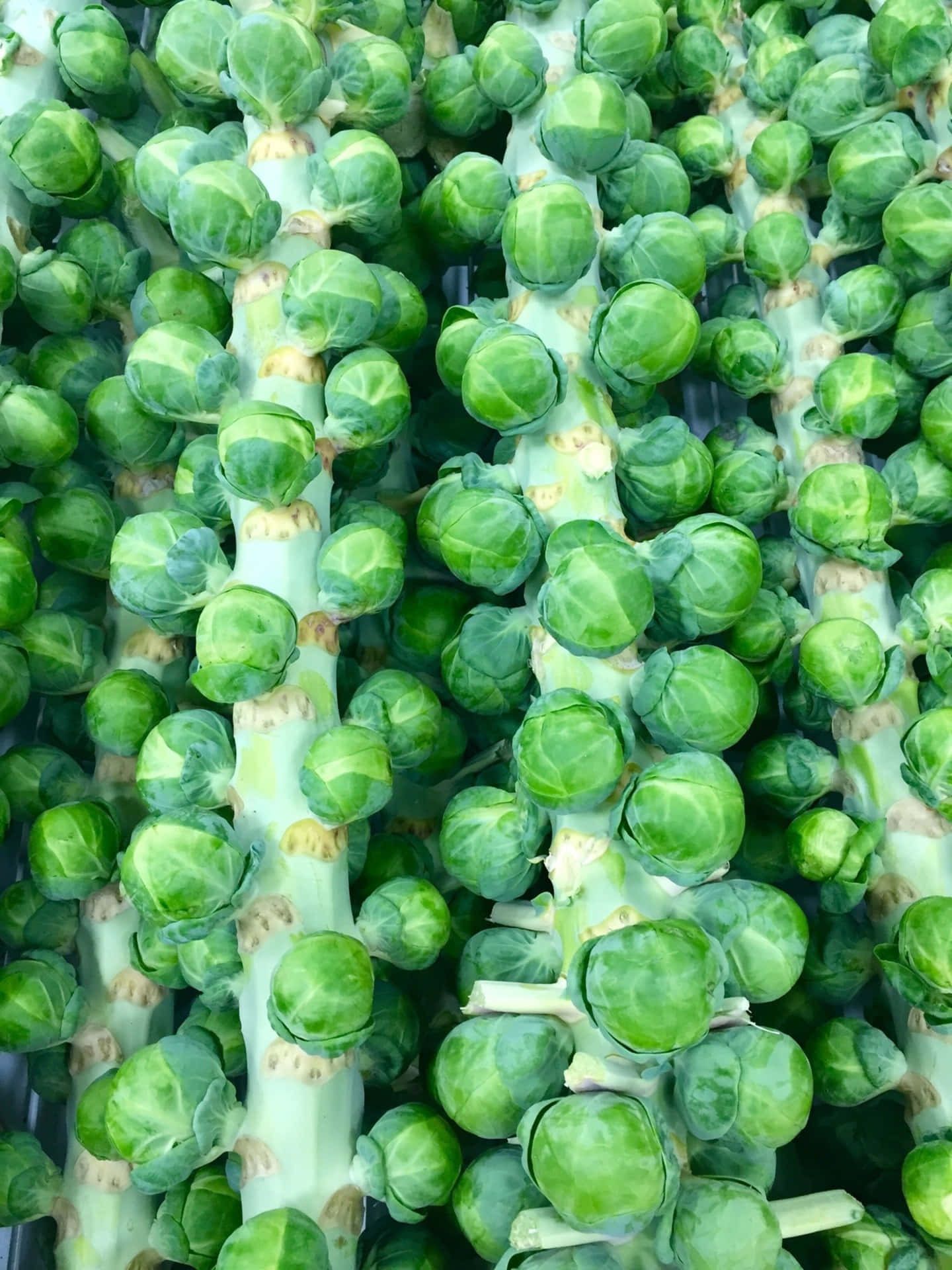 Brussel Sprouts In A Market