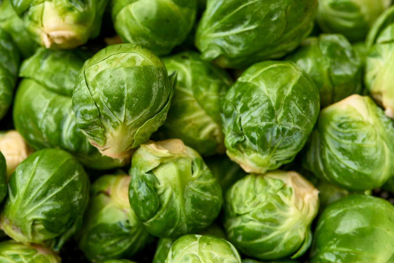 Brussels Sprouts Are A Great Source Of Vitamin C