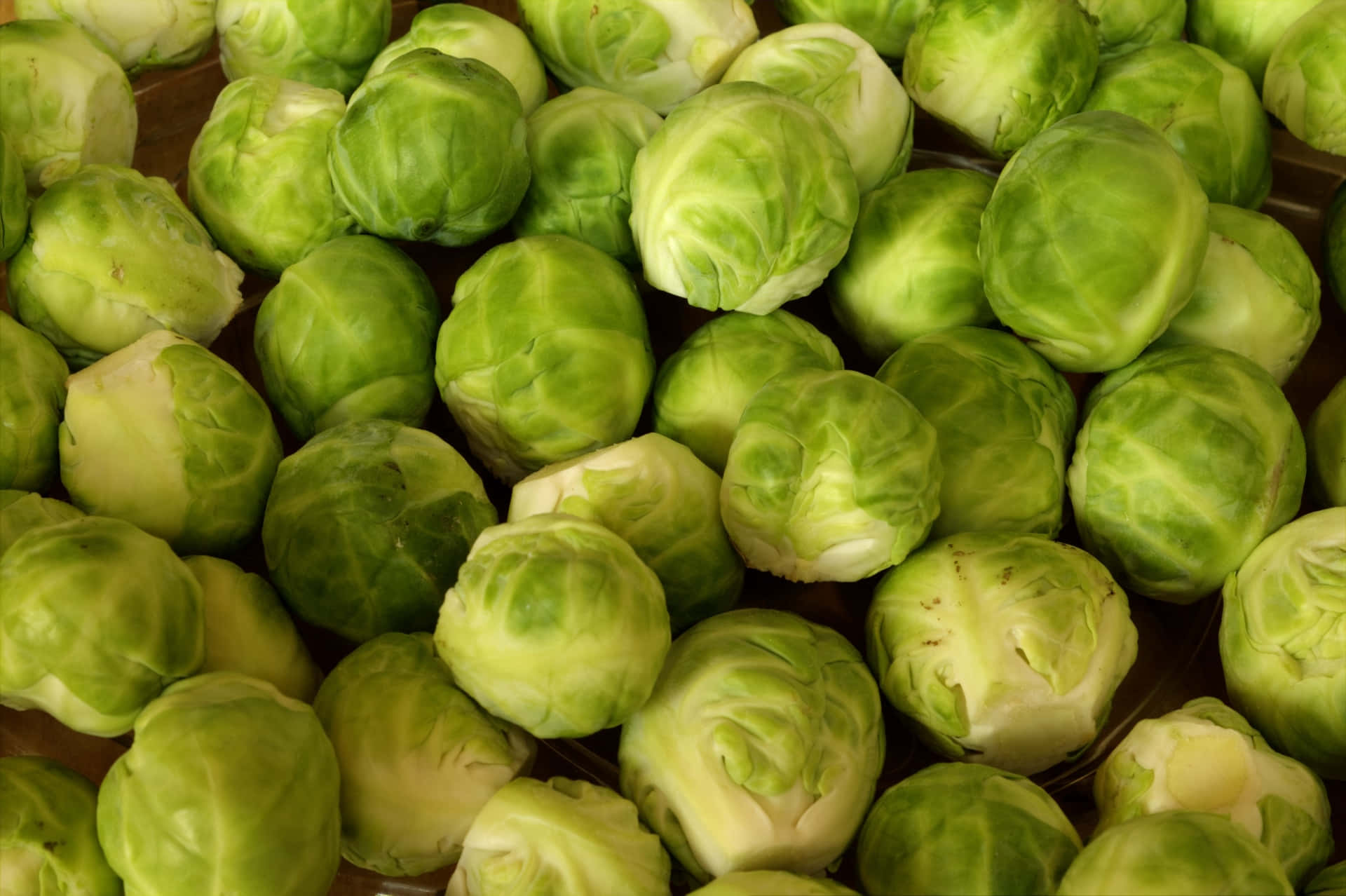 "A delicious bowl of Brussels Sprouts ready to be enjoyed."