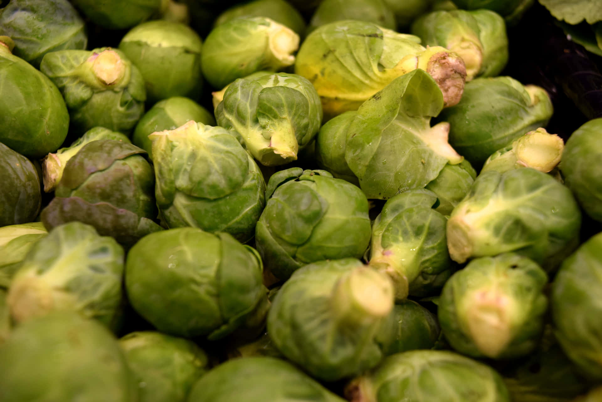 Brussels Sprouts Are Piled Up In A Pile