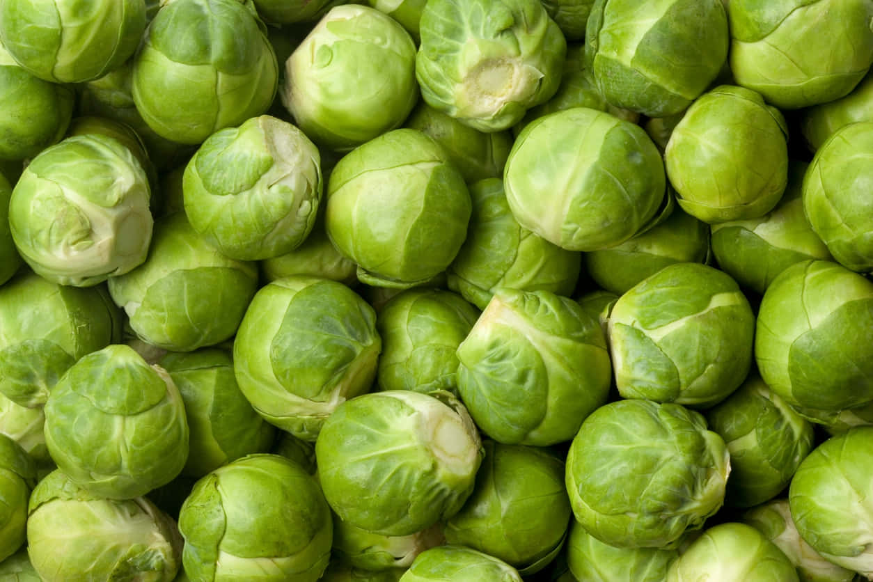Image  Freshly harvested Brussel Sprouts