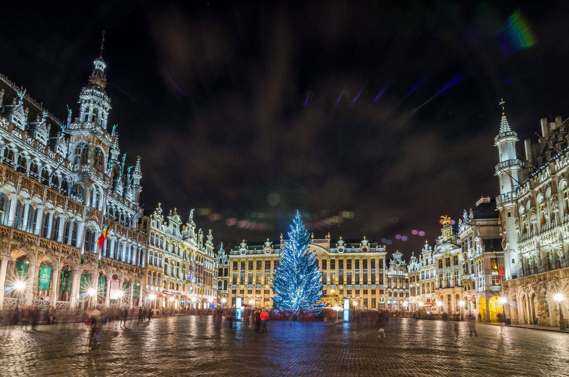 Brussels Christmas Tree Wallpaper