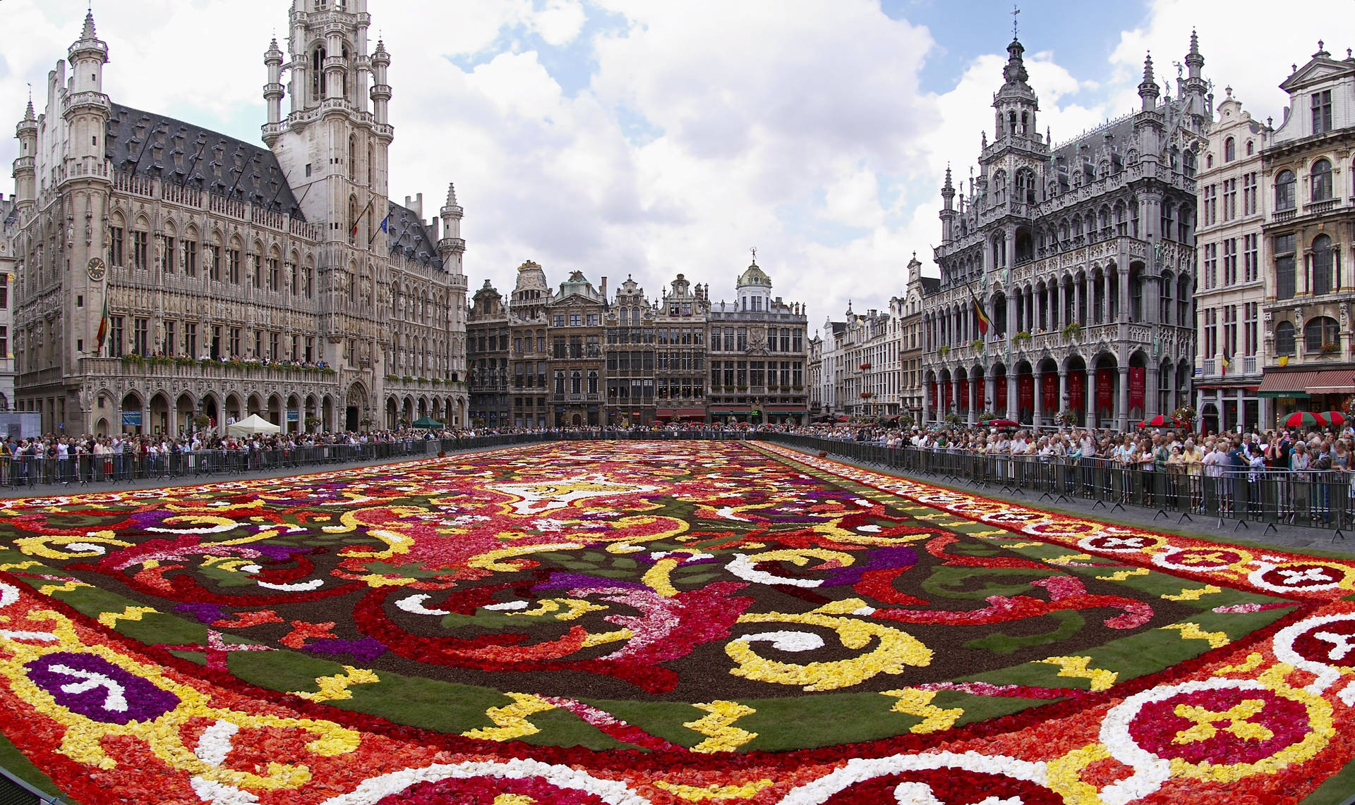 Brussels Floral Art Garden Wallpaper