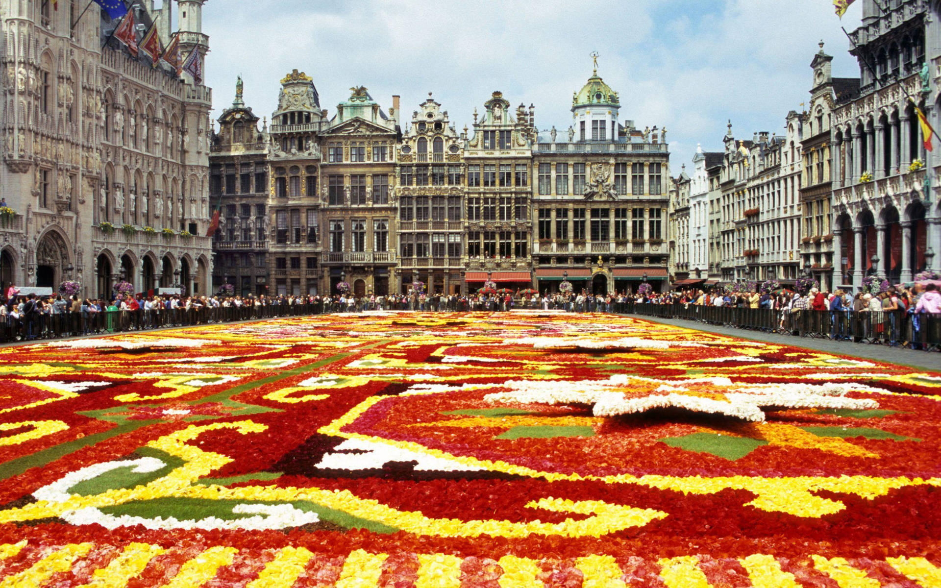 Brussels Flower Art Wallpaper
