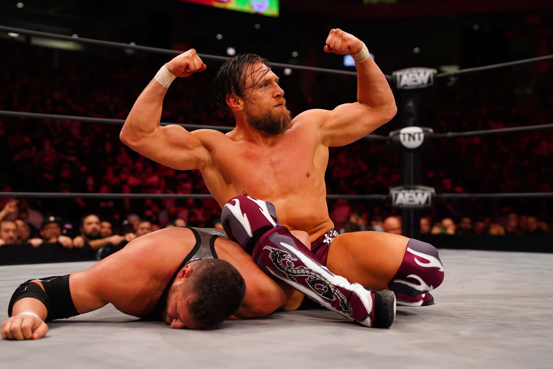 Bryan Danielson Flexing Muscles Picture