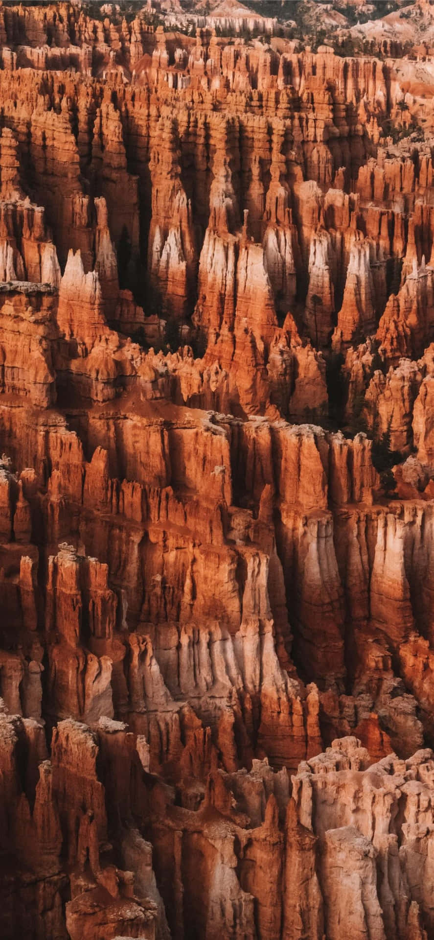Bryce Canyon Nationalpark Røde Spire Rock Formationer Bagsider Wallpaper