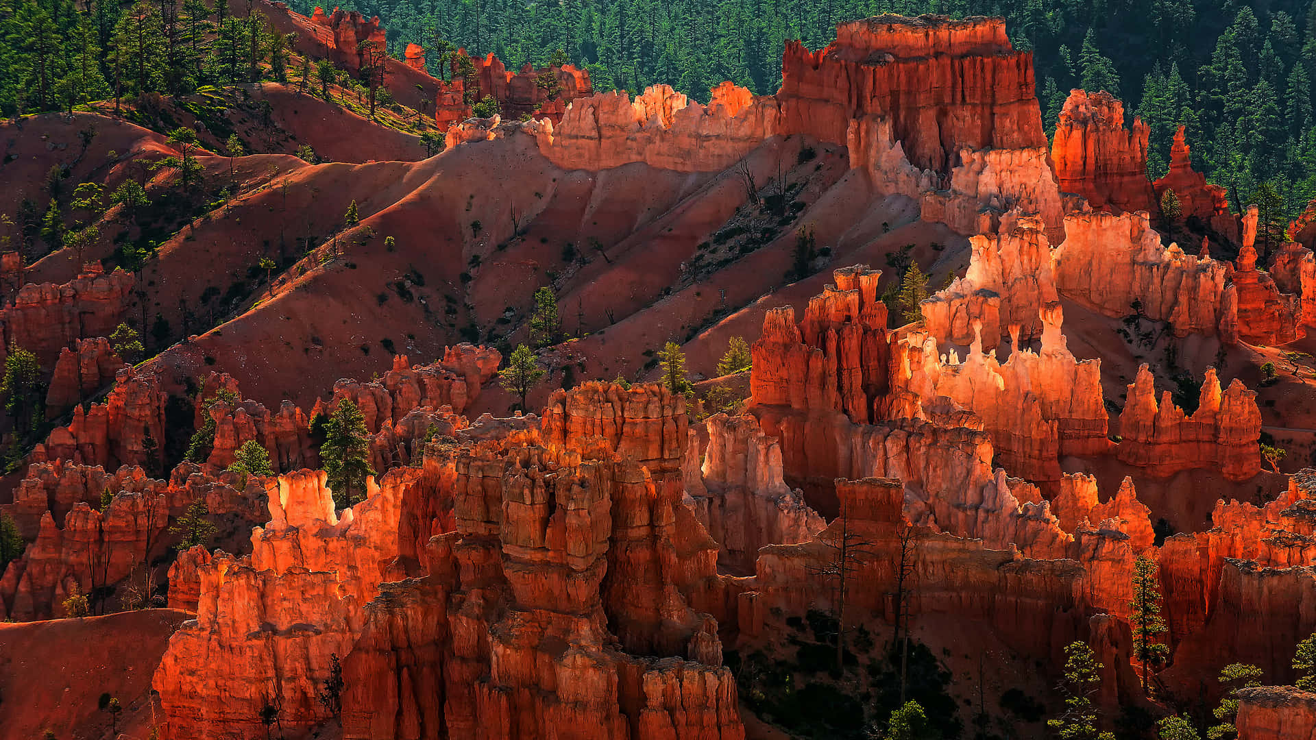 Bryce Canyon National Park Eroded Rock Formations Wallpaper