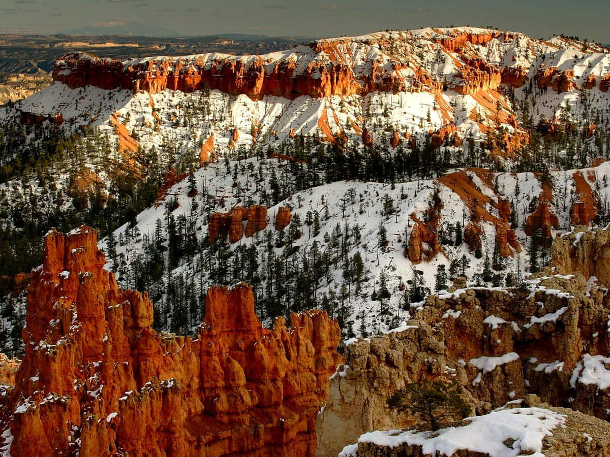 Bryce Canyon National Park ramt af sollyset Wallpaper