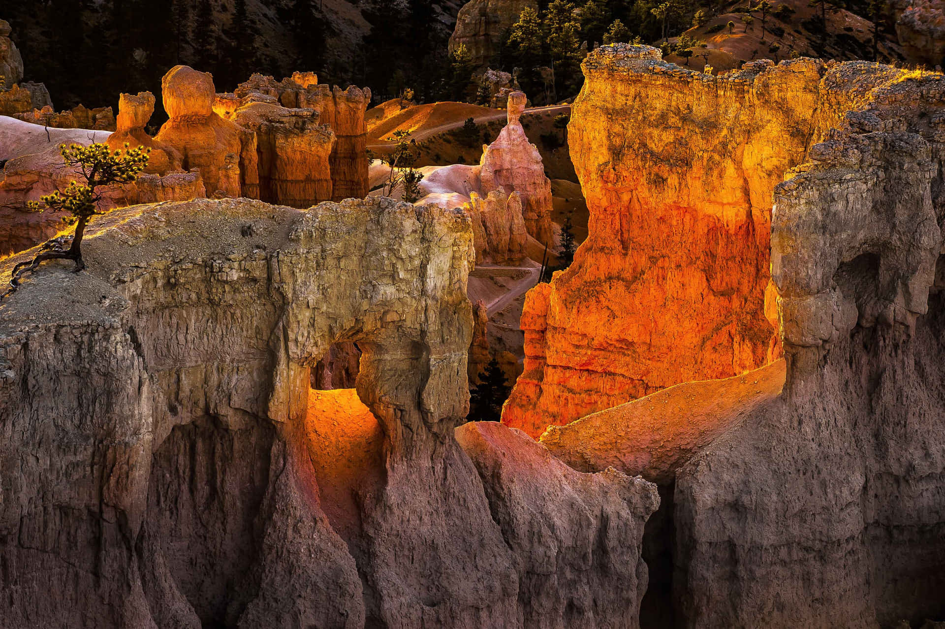 Brycecanyon National Park Bajo El Resplandor Rojo Del Atardecer. Fondo de pantalla
