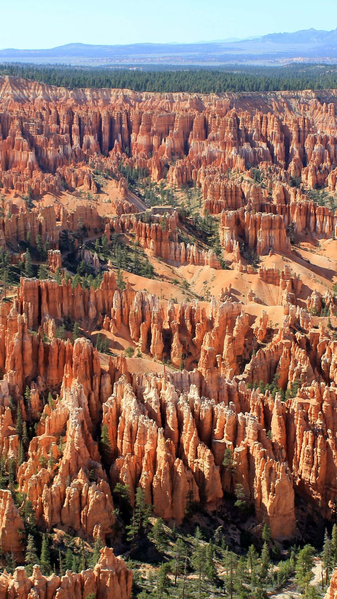 Bryce Canyon National Park Rock Formations In Depression Wallpaper
