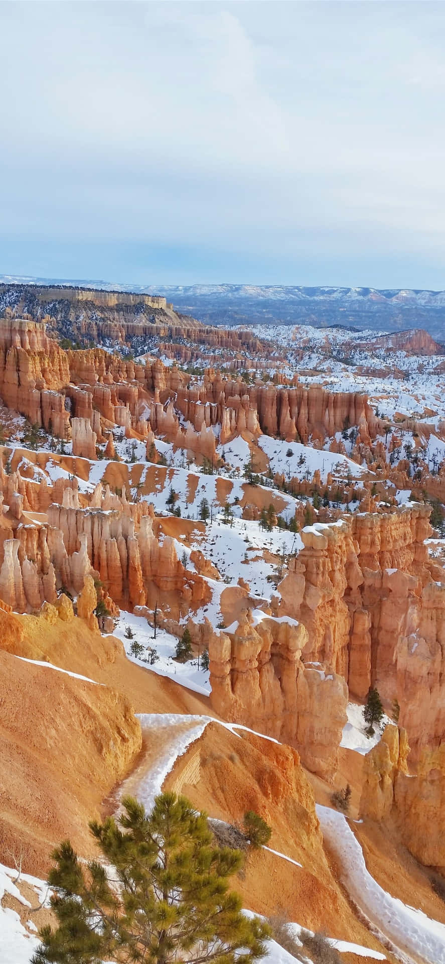 Bryce Canyon National Park Snow Shower Wallpaper