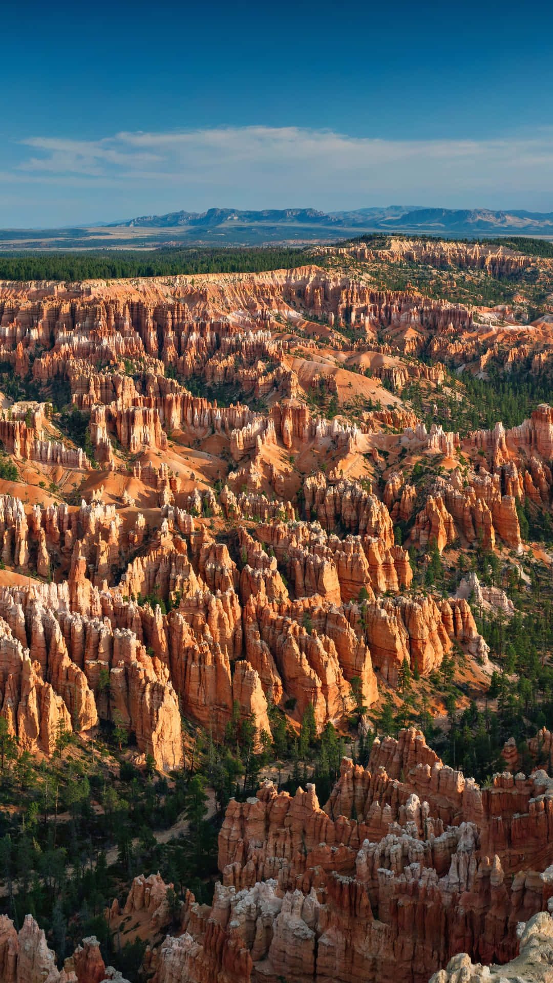 Bryce Canyon National Park Trees With Rock Formations Wallpaper