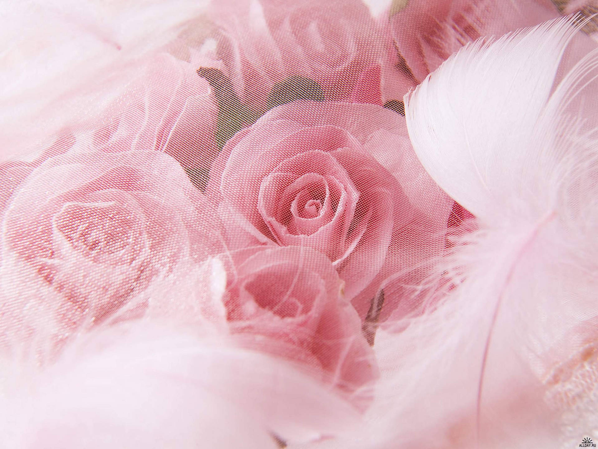 Bryllup Æstetisk Pink Rose Wallpaper