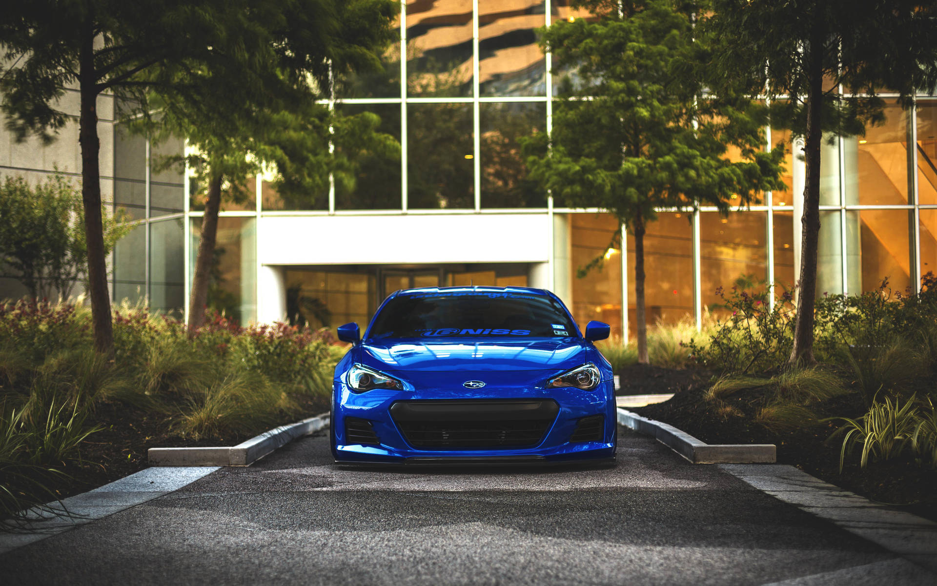 Brz Driving By The Plants Wallpaper