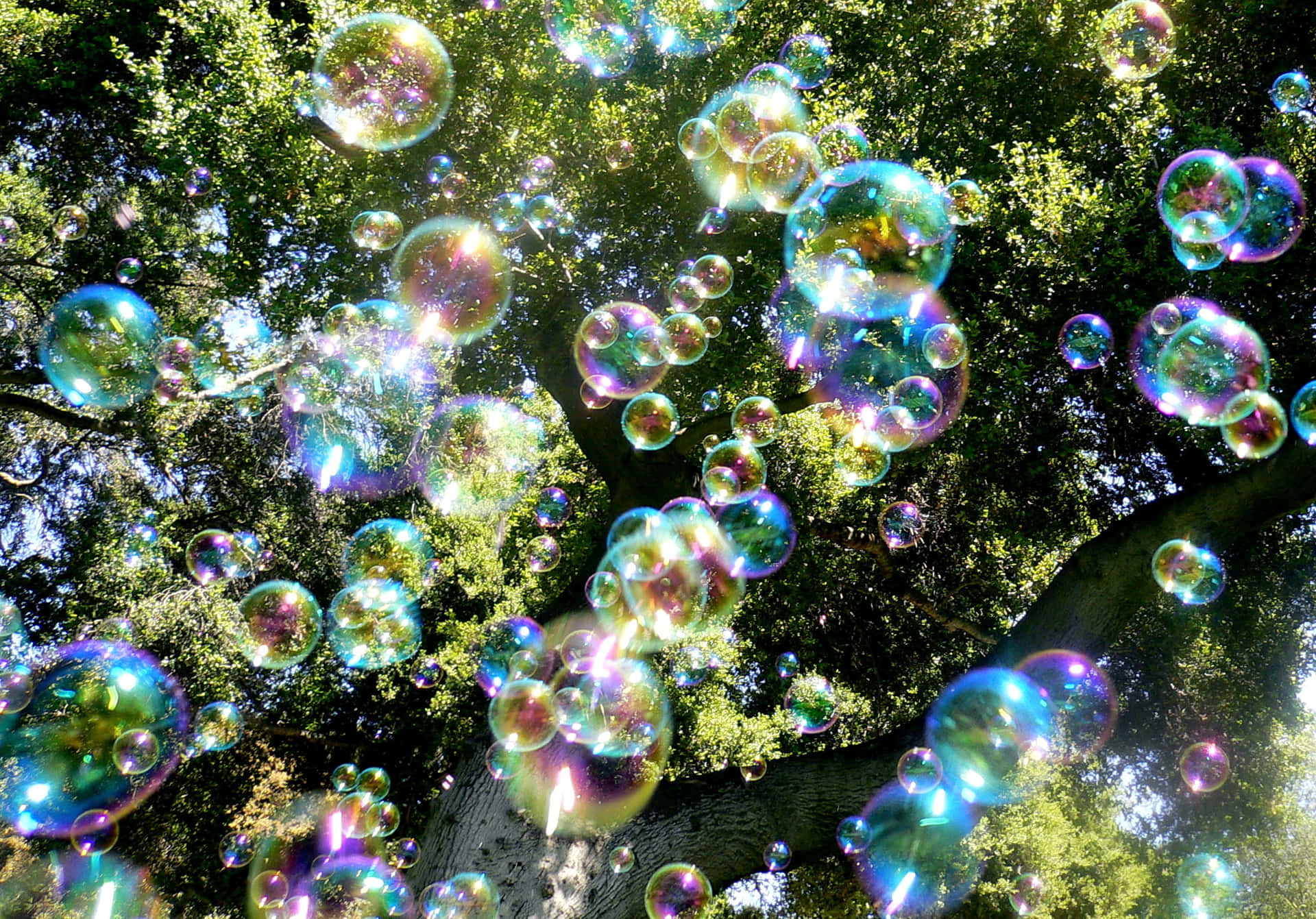 Fondode Burbujas: Muchas Burbujas Coloridas Flotantes.