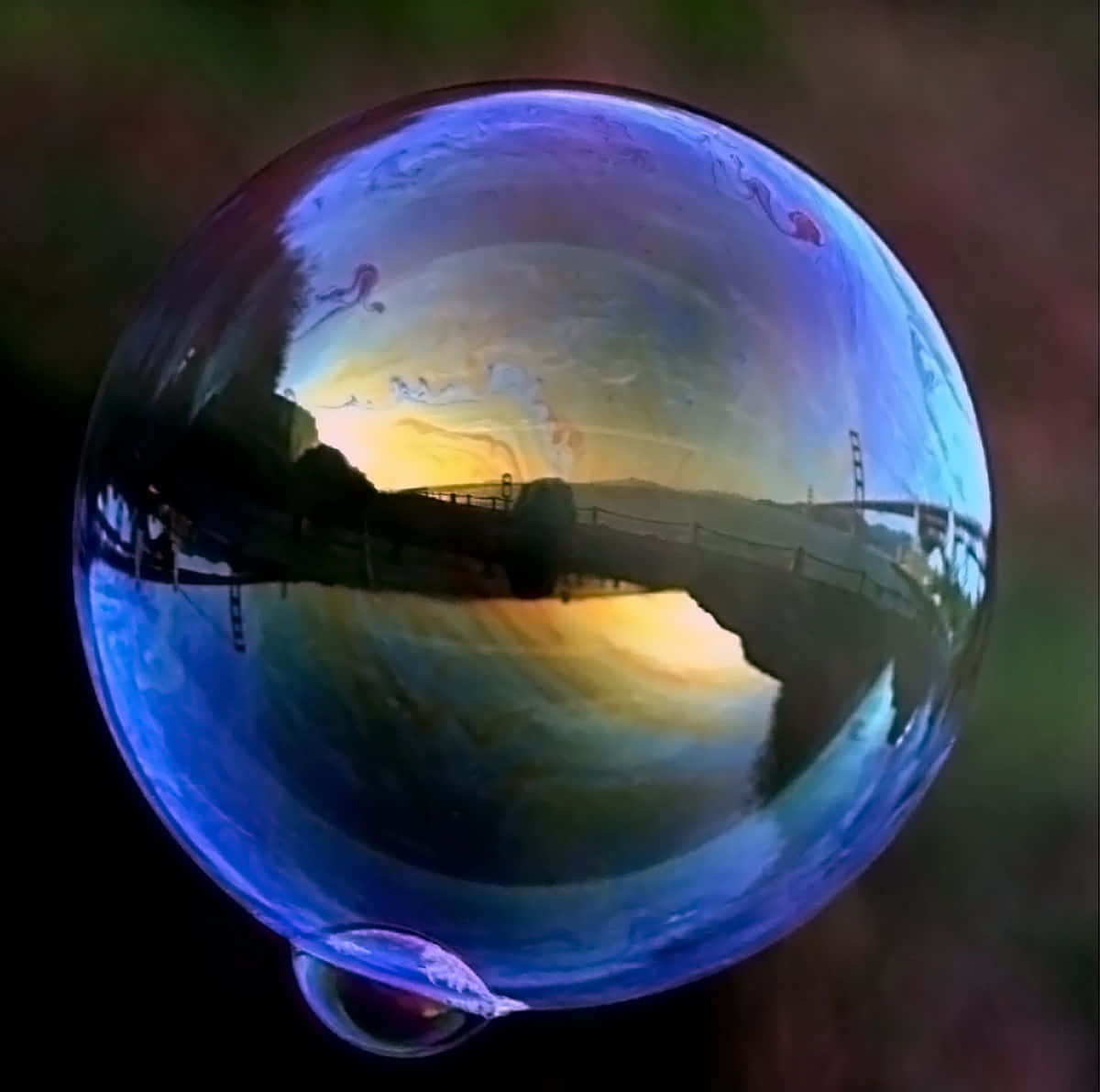Explore the natural beauty of a bubble