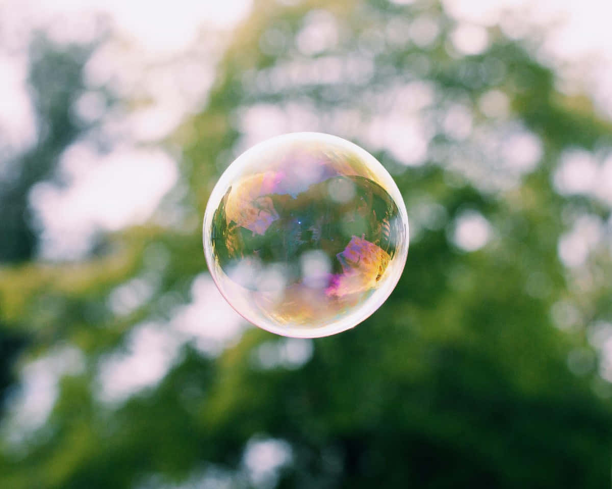 A Soap Bubble Floating In The Air