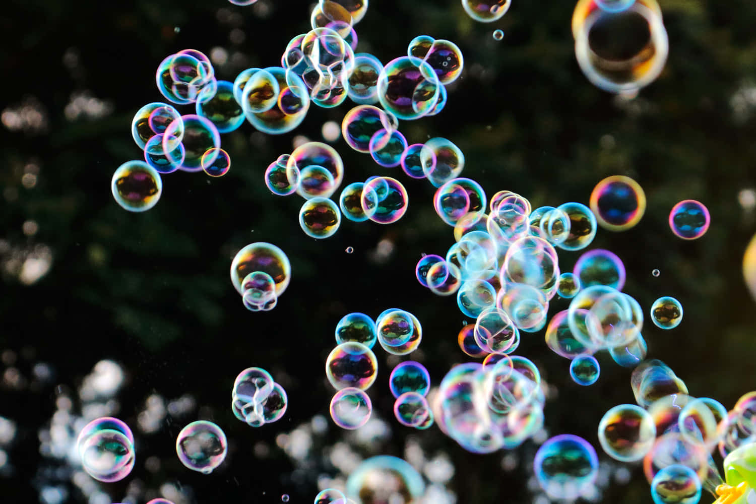 A Group Of Soap Bubbles Floating In The Air