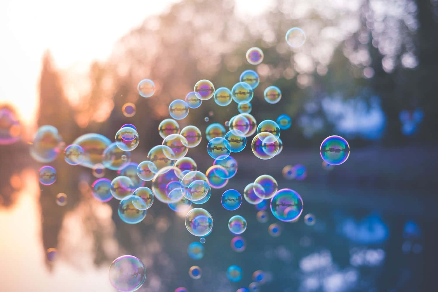 Soap Bubbles Floating In The Water