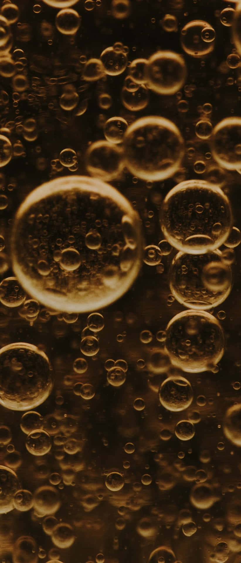 Bubbles In A Brown Background Wallpaper
