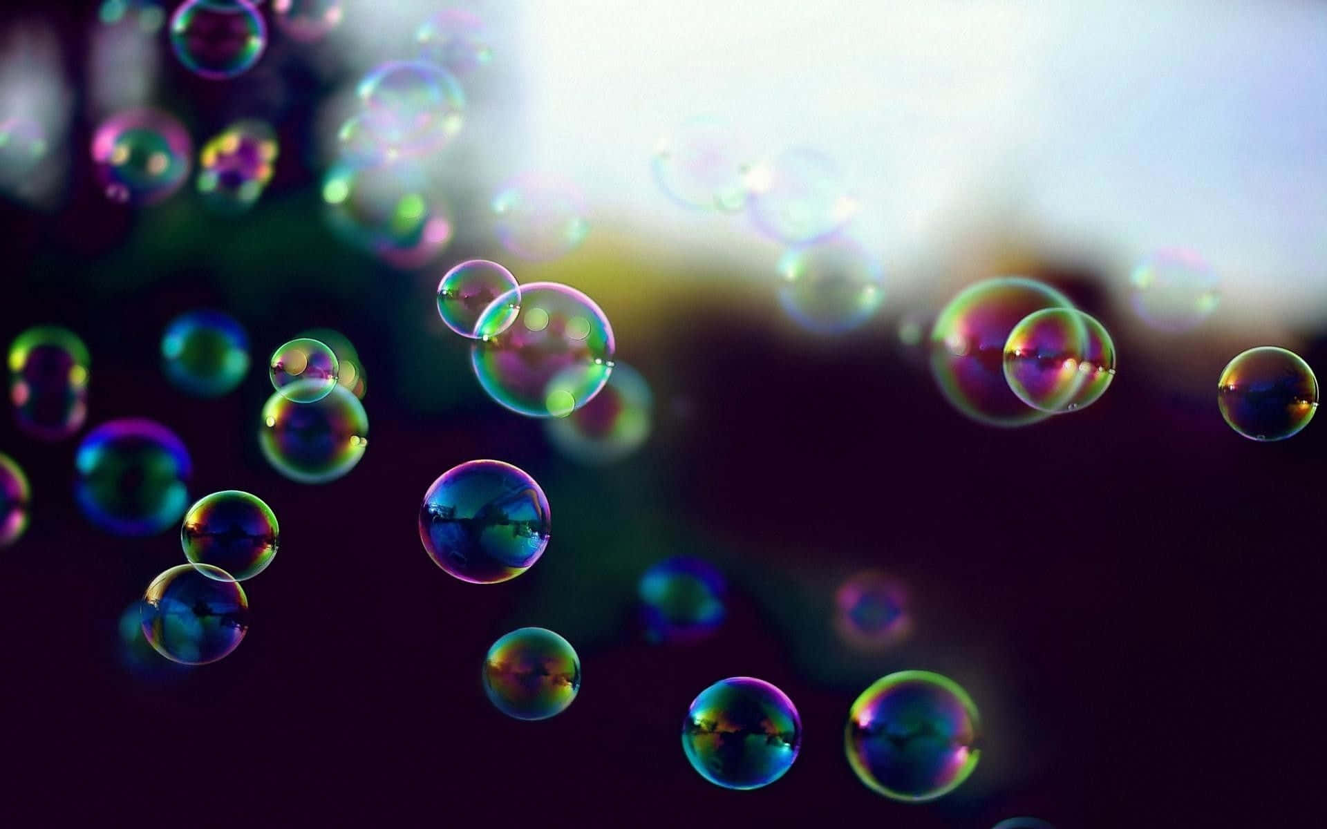 Soap Bubbles Floating In The Air