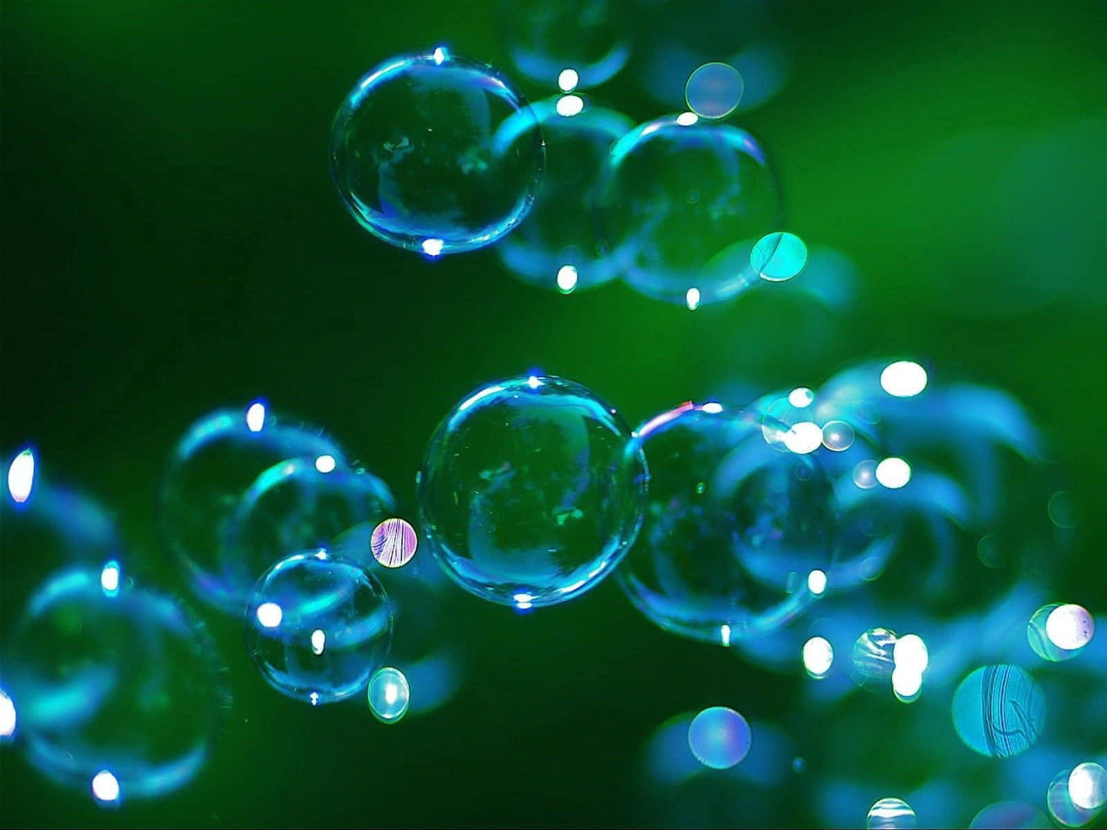 Skålför Livet Med Uppfriskande Bubblor!
