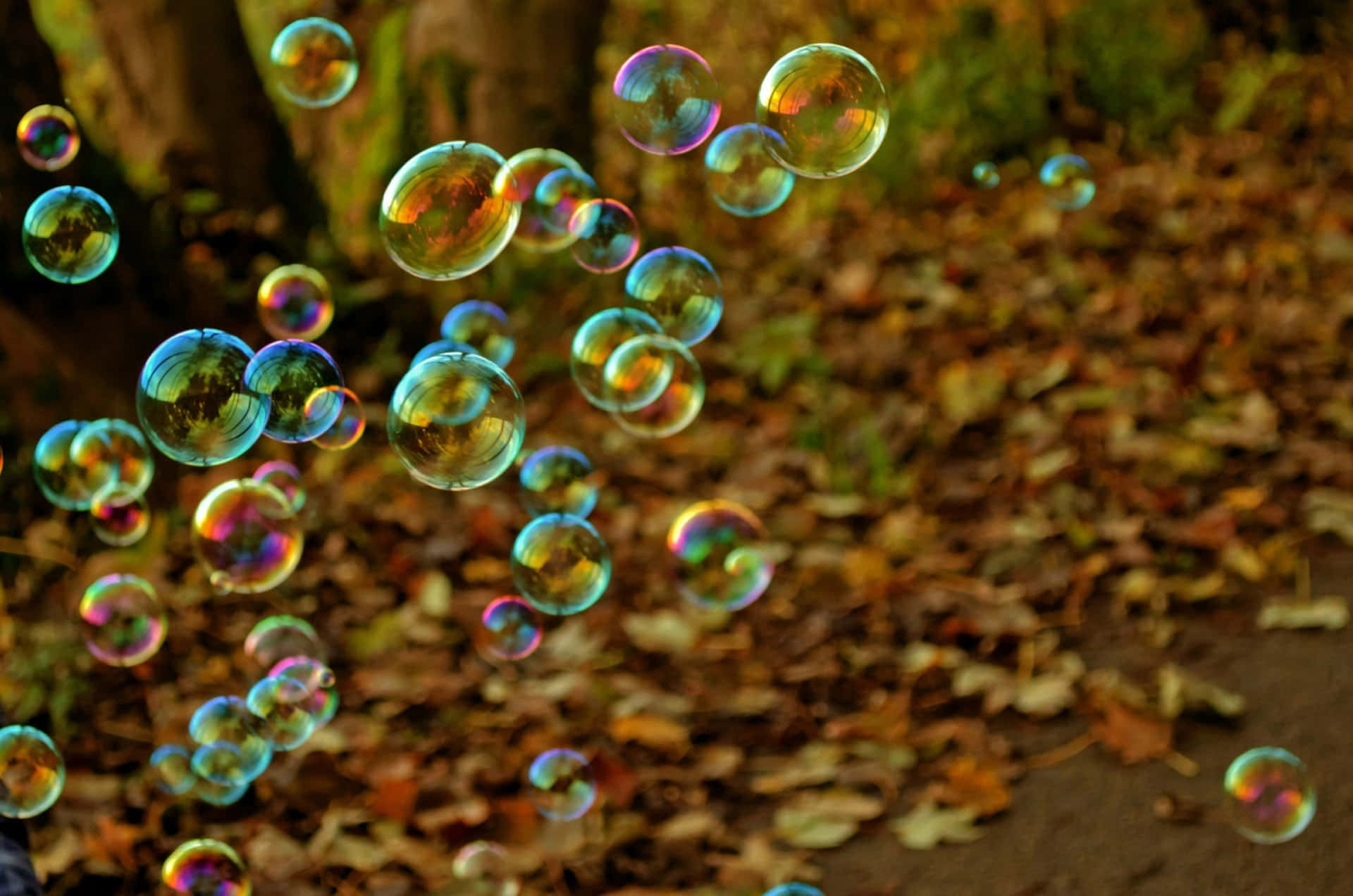 Colorful bubbles rising in the sky