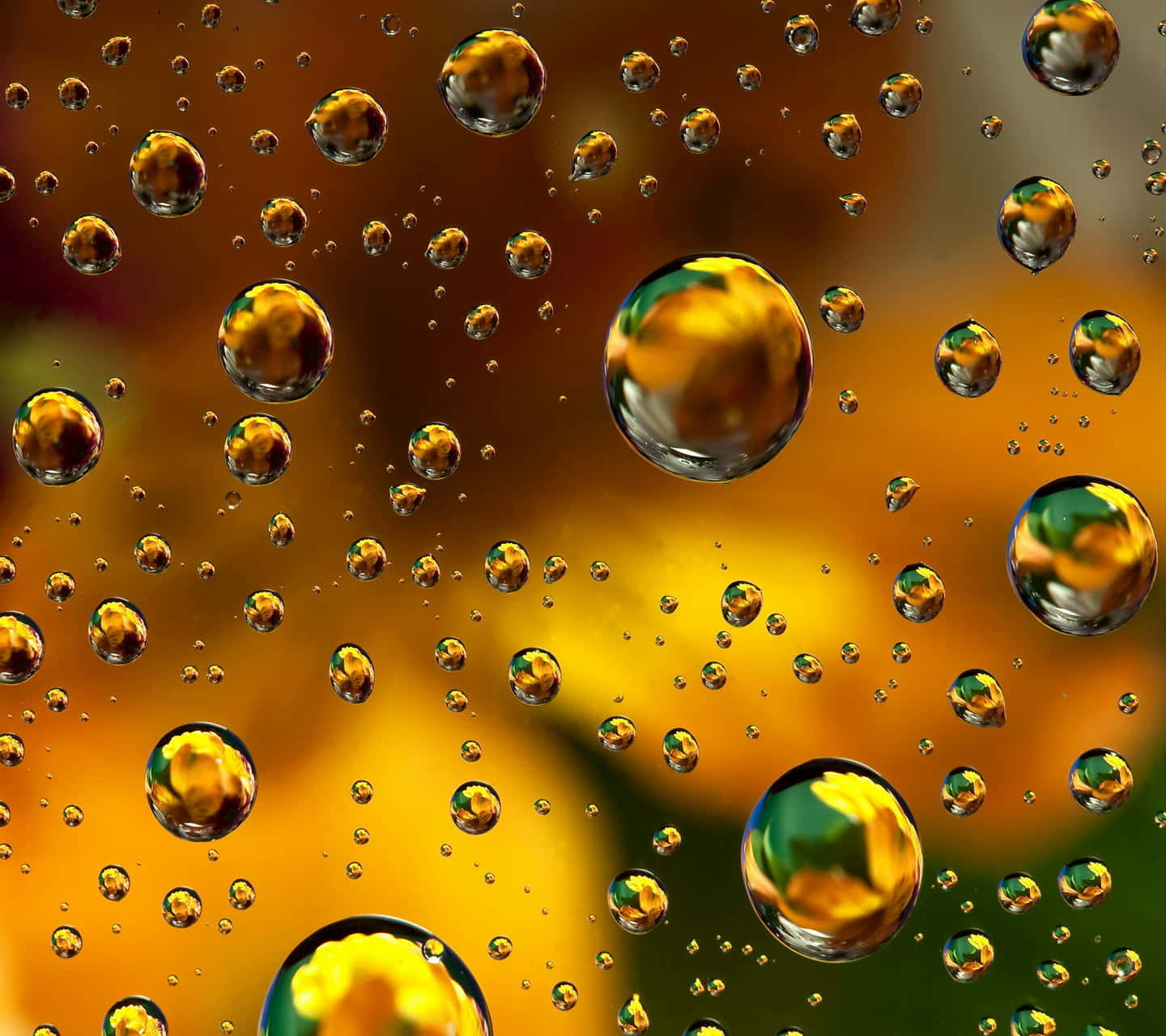 Water Droplets On A Glass