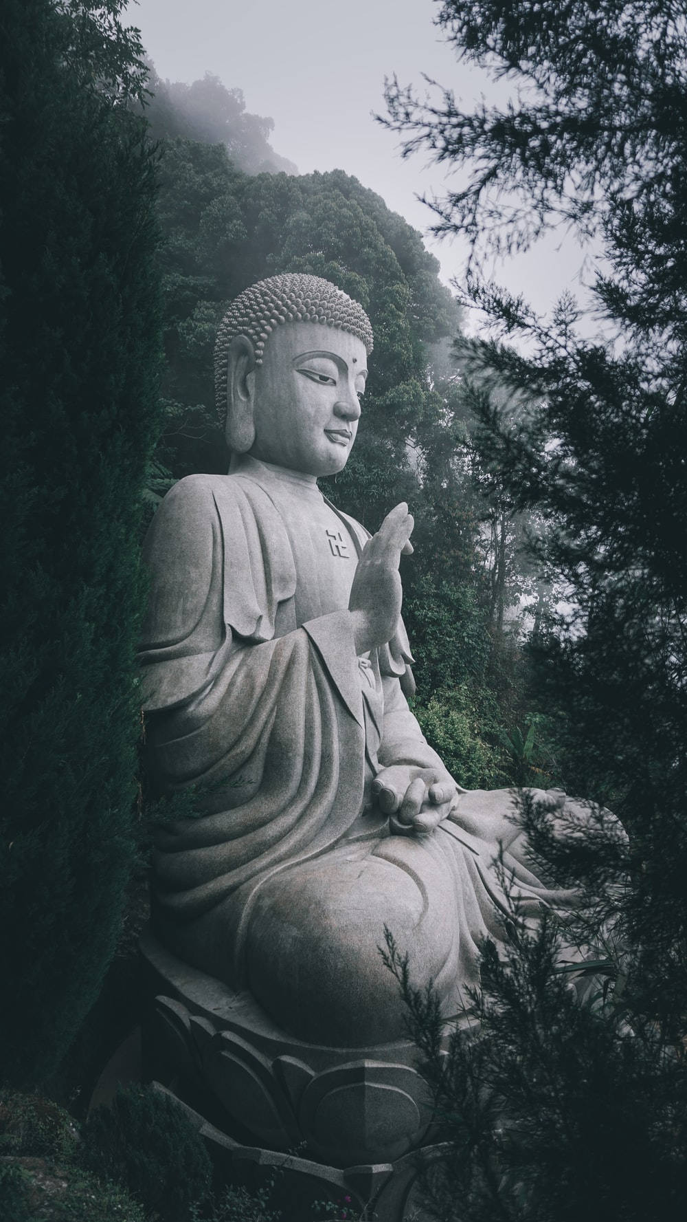 Buddha 3d In A Forest