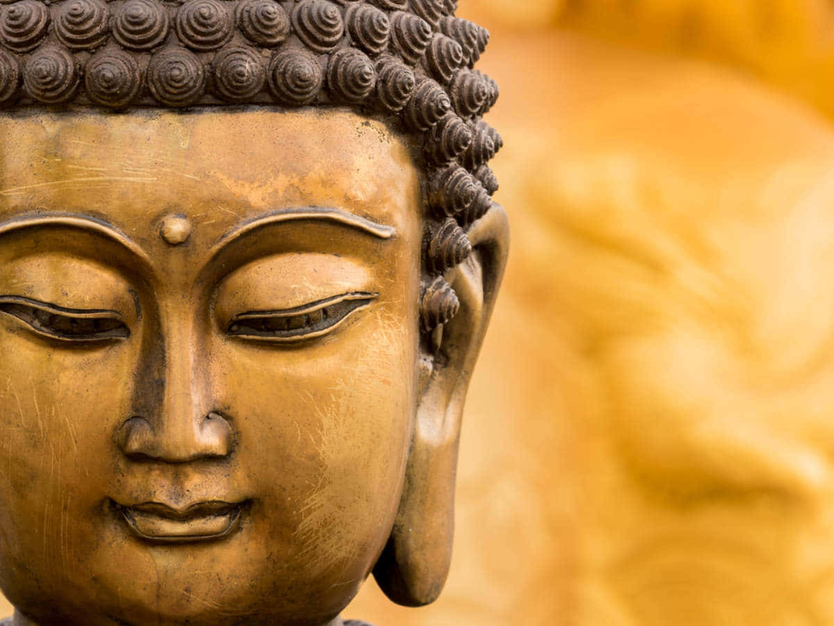 meditating Buddha in peaceful ambiance