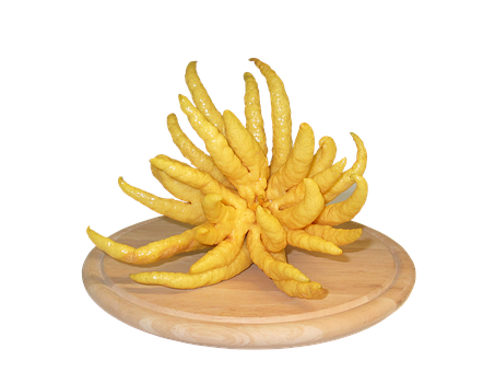 Buddha Hand Citron Fruit Sculpture PNG