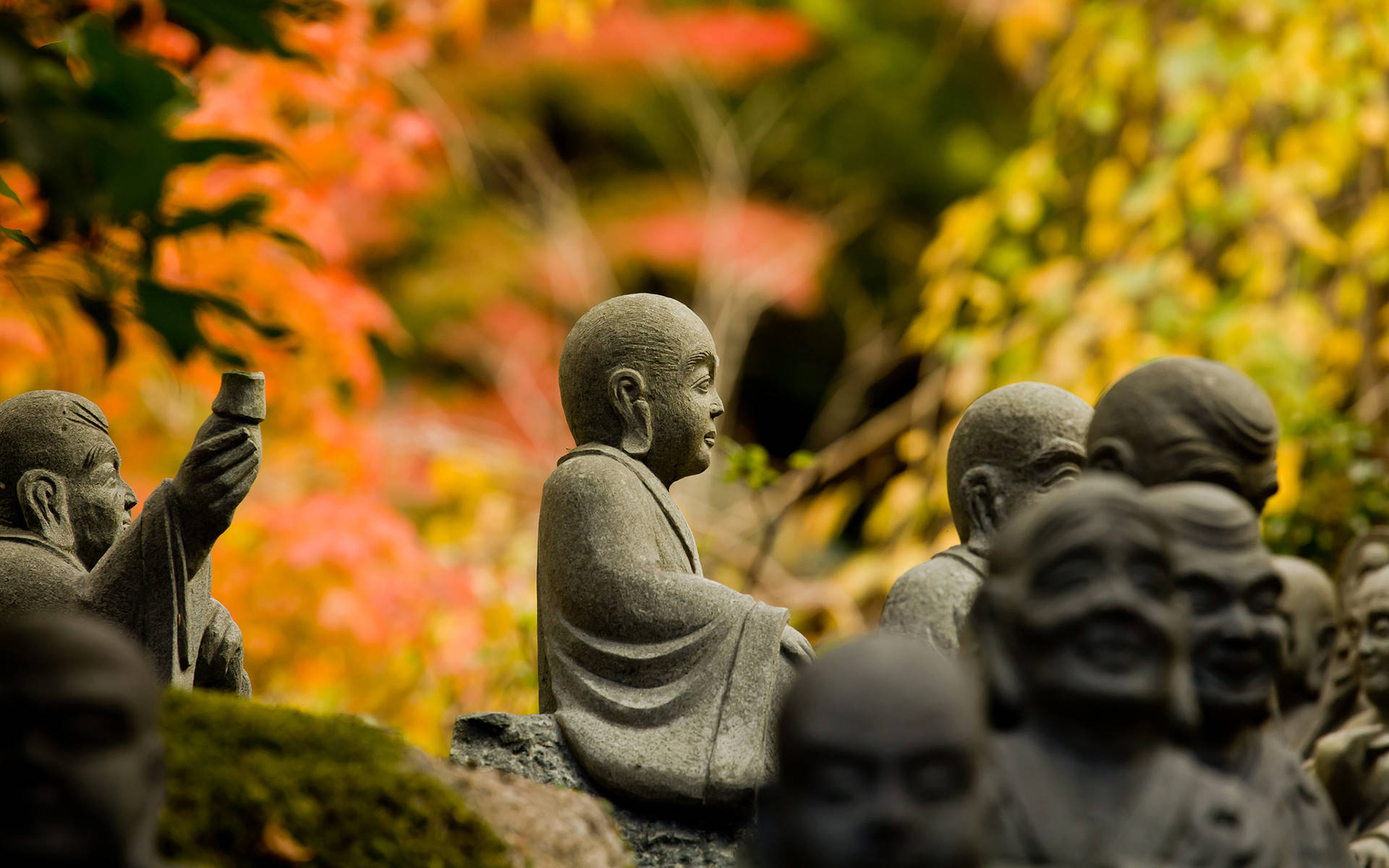 Buddha HD-billede under efteråret. Wallpaper