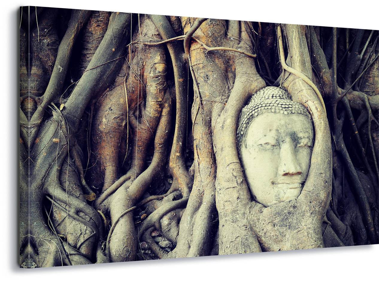 Buddha Head Entwinedin Tree Roots PNG