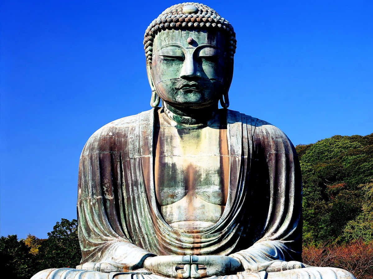 Dererleuchtete Weg Buddhas