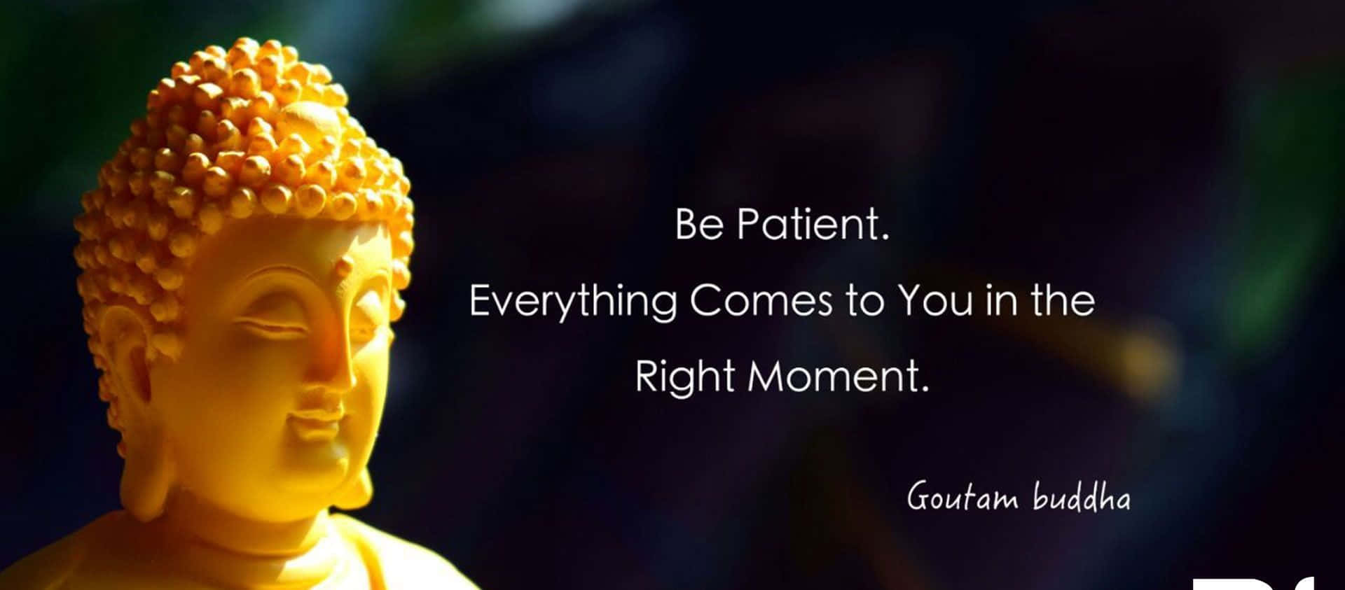 Enstaty Av En Buddha Med Citatet Var Tålmodig, Allt Kommer Till Dig Vid Rätt Tillfälle