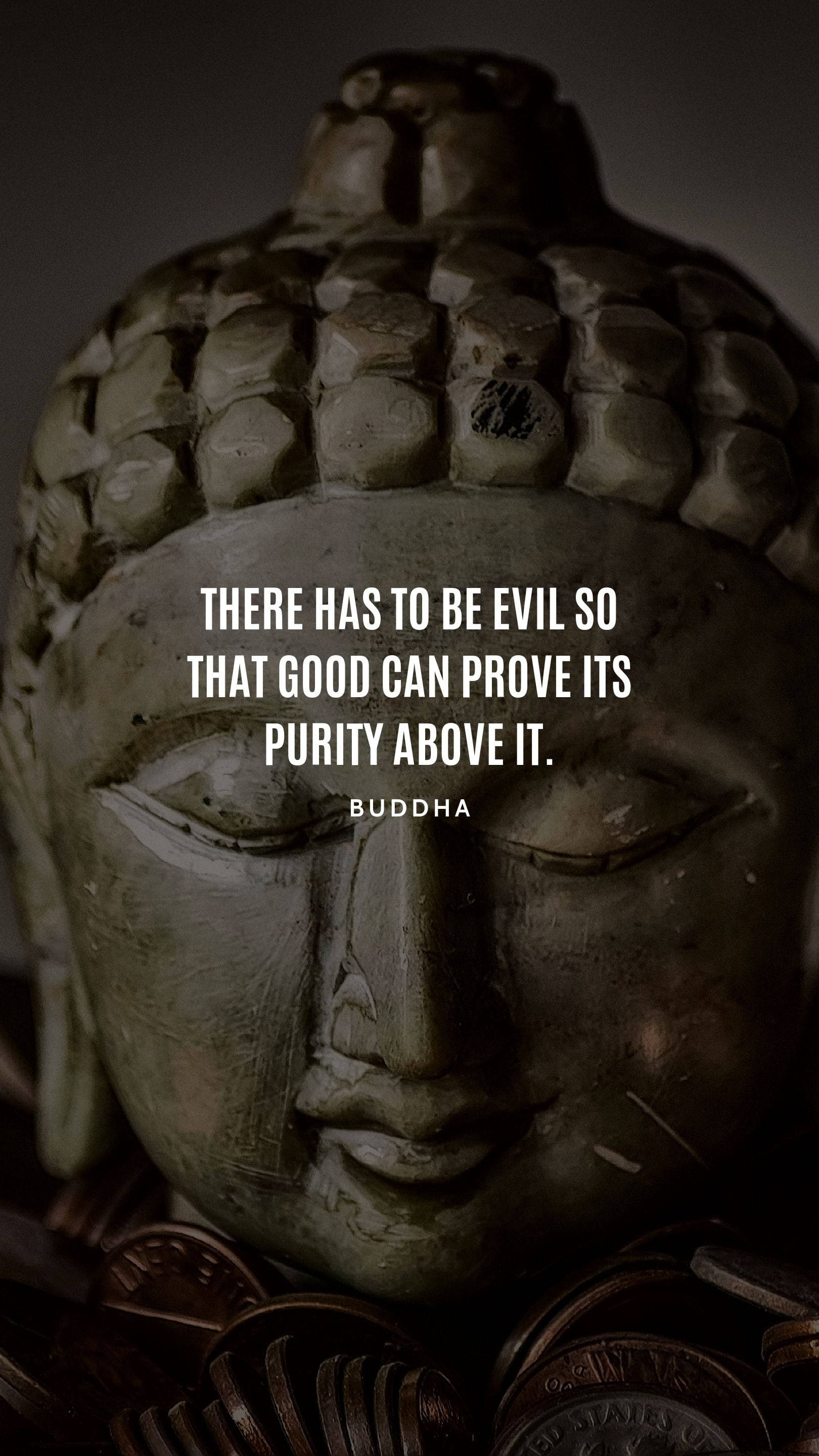 Citazionidi Buddha Sulla Purità Sfondo