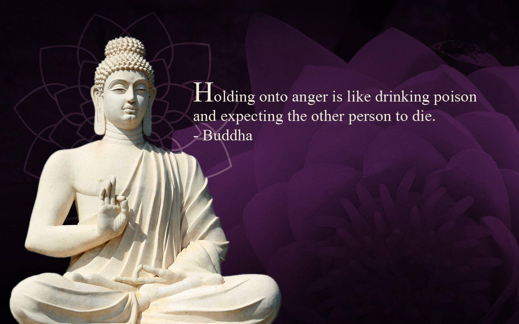 Buddha Quotes Holding Anger Purple Backdrop Wallpaper