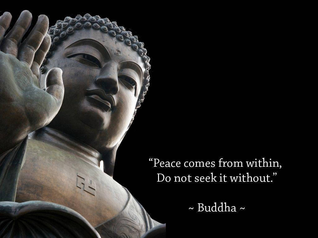 "Buddha's Wisdom - Seek From Within" Wallpaper