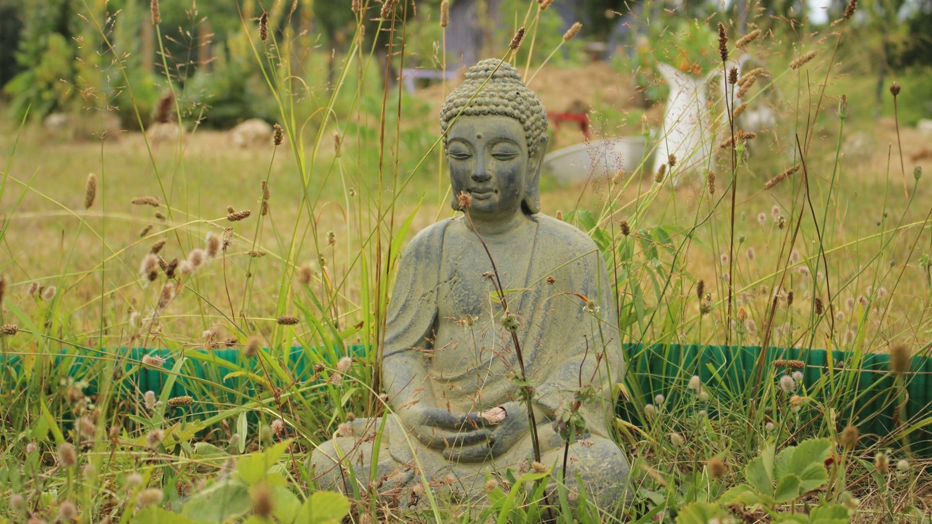 Meditaciónde Buda En Un Vasto Campo Fondo de pantalla