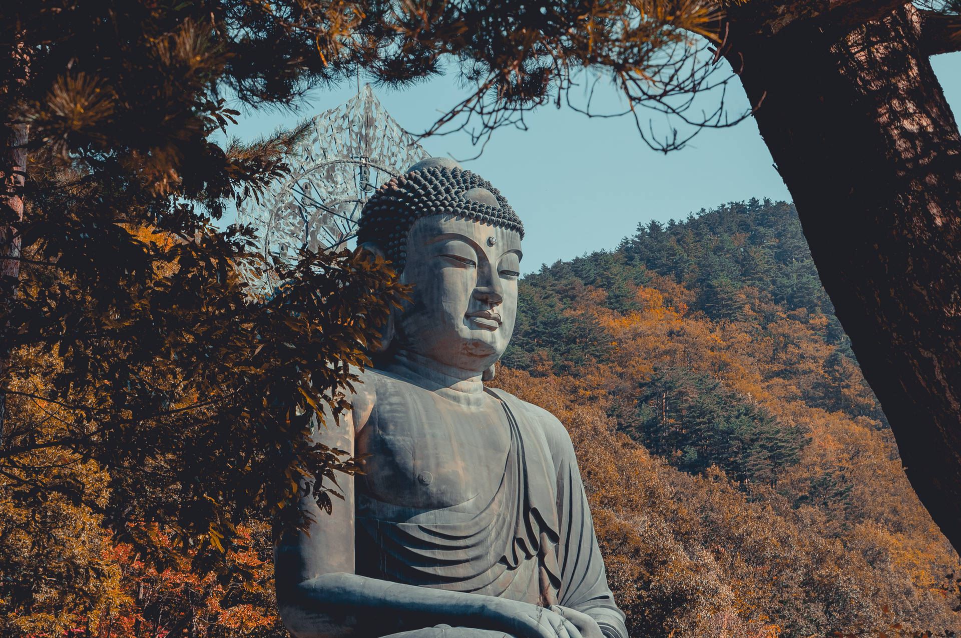 Buddha Statue Behind Trees Wallpaper