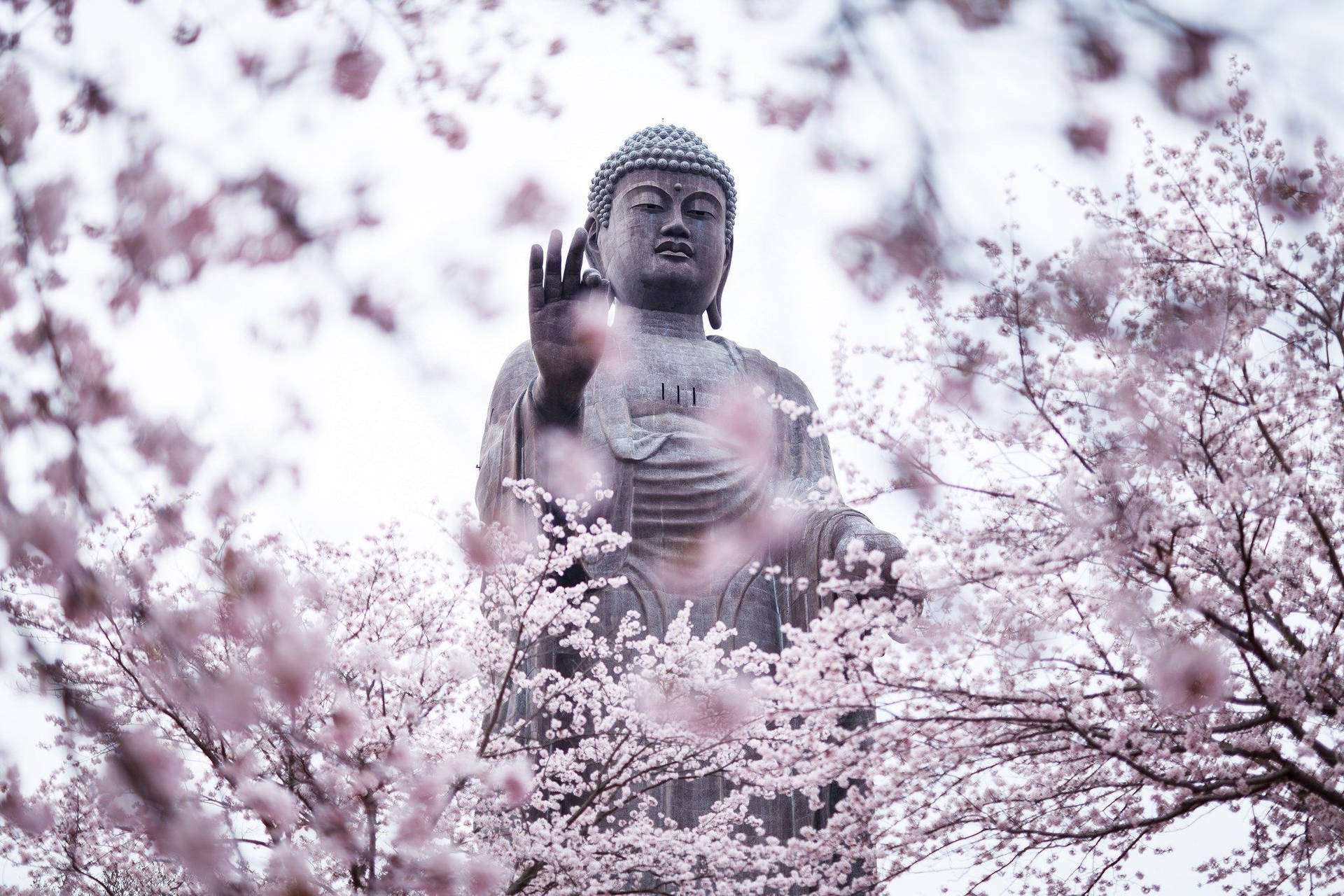 A snowy winter day in front of a serene Buddha statue. Wallpaper