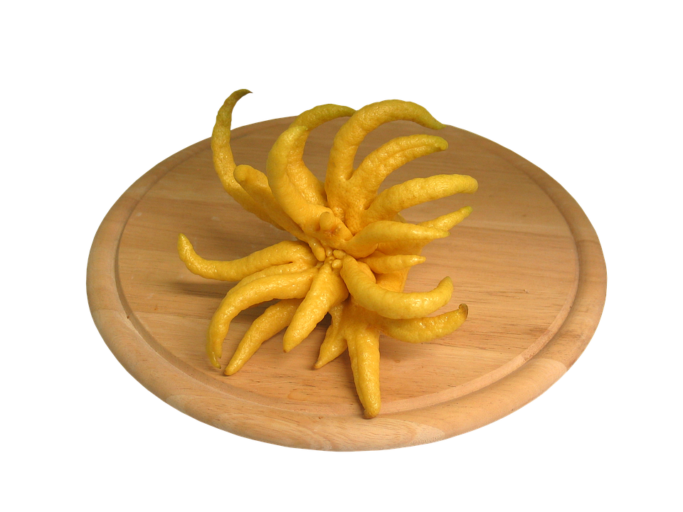 Buddhas Hand Citron Fruit PNG