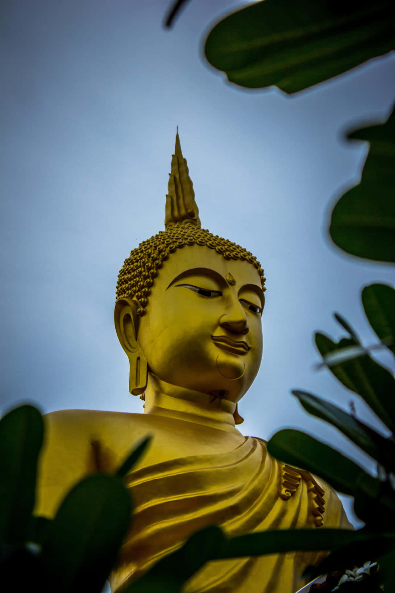 Buddhismansiktsbild