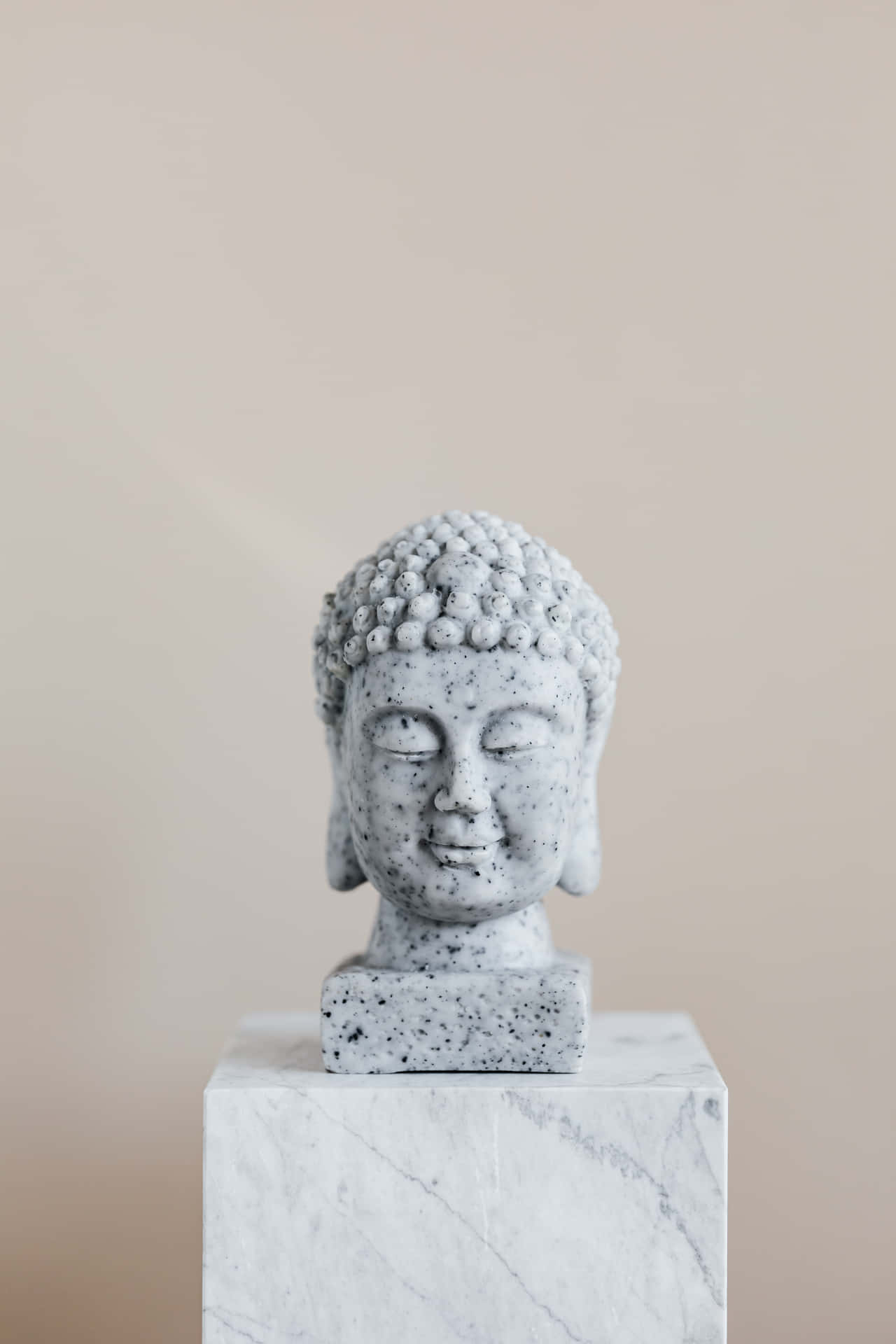Buddhismuskopfskulptur Bild