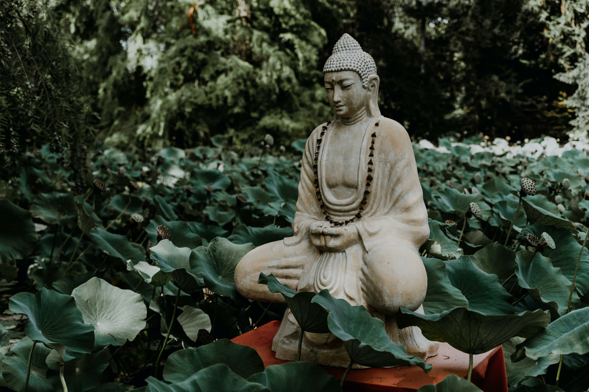 Peaceful Buddha Meditation Under Bodhi Tree